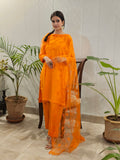 Satin Silk Suit With Net Capelet